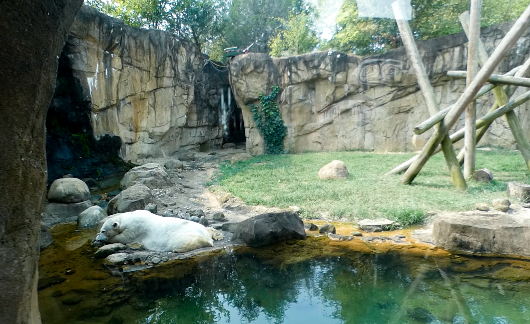 Sep. 2021 - Northwest Passage - Second Polar Bear Exhibit (Former Black Bear)