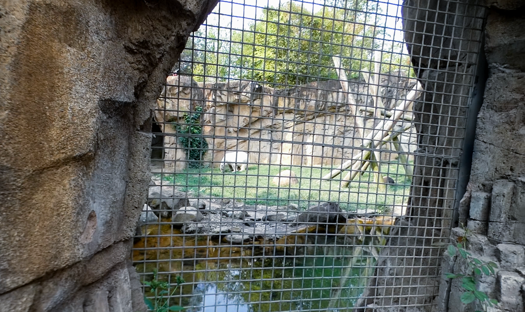 Sep. 2021 - Northwest Passage - Second Polar Bear Exhibit (Former Black Bear)
