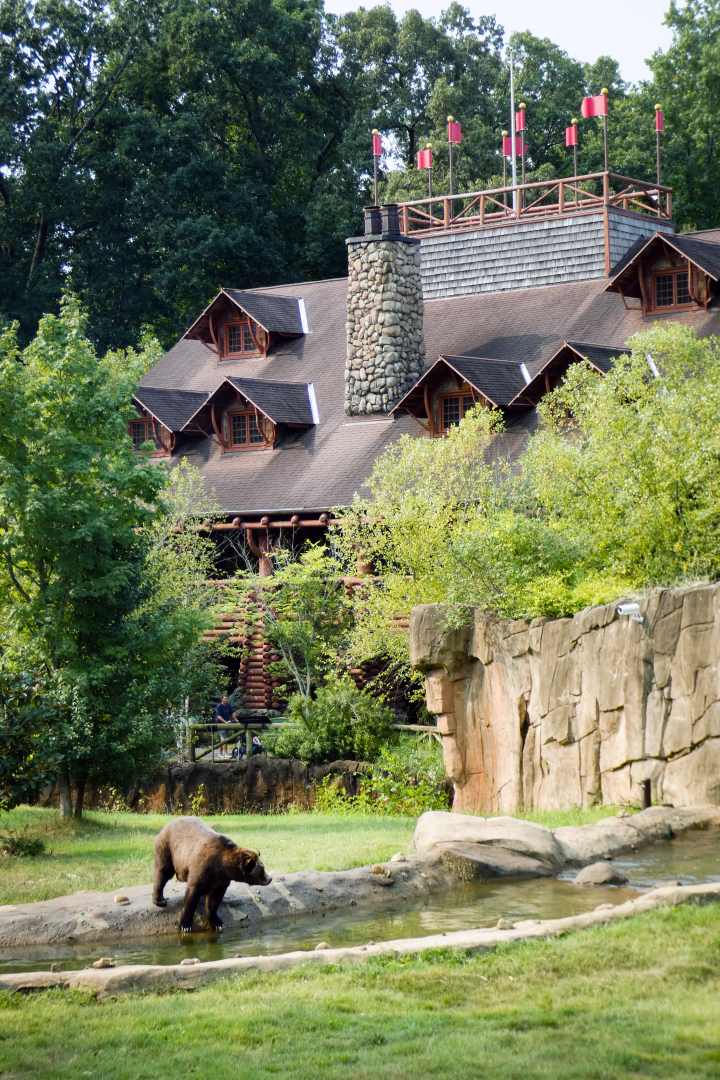 Sep. 2021 - Teton Trek - Grizzly Bear/American Black Bear Exhibit