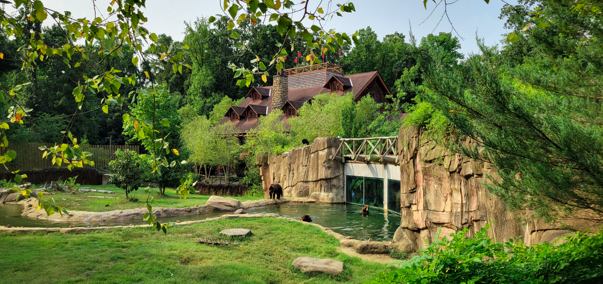 Sep. 2021 - Teton Trek - Grizzly Bear/American Black Bear Exhibit