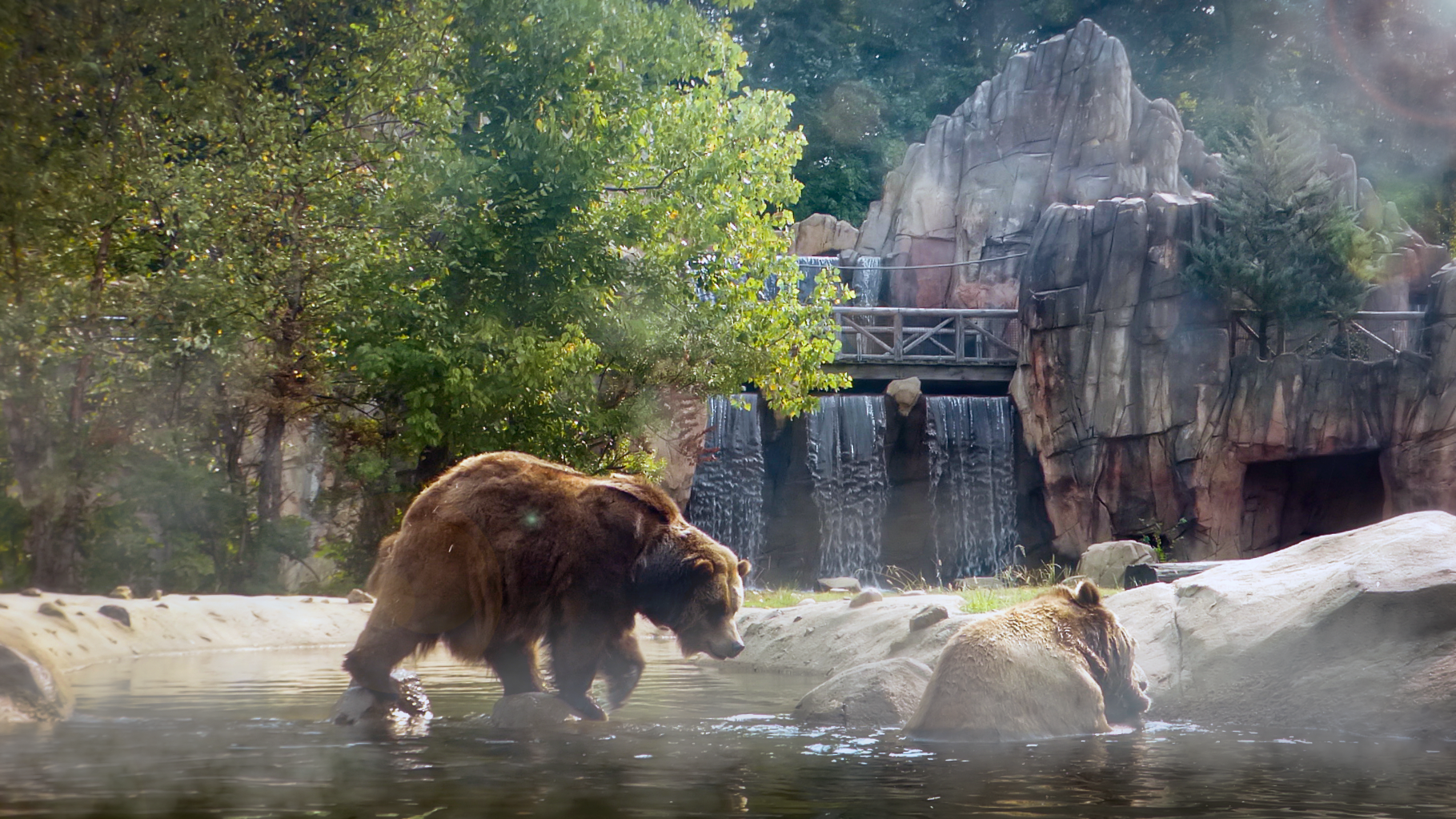 Sep. 2021 - Teton Trek - Grizzly Bear/American Black Bear Exhibit