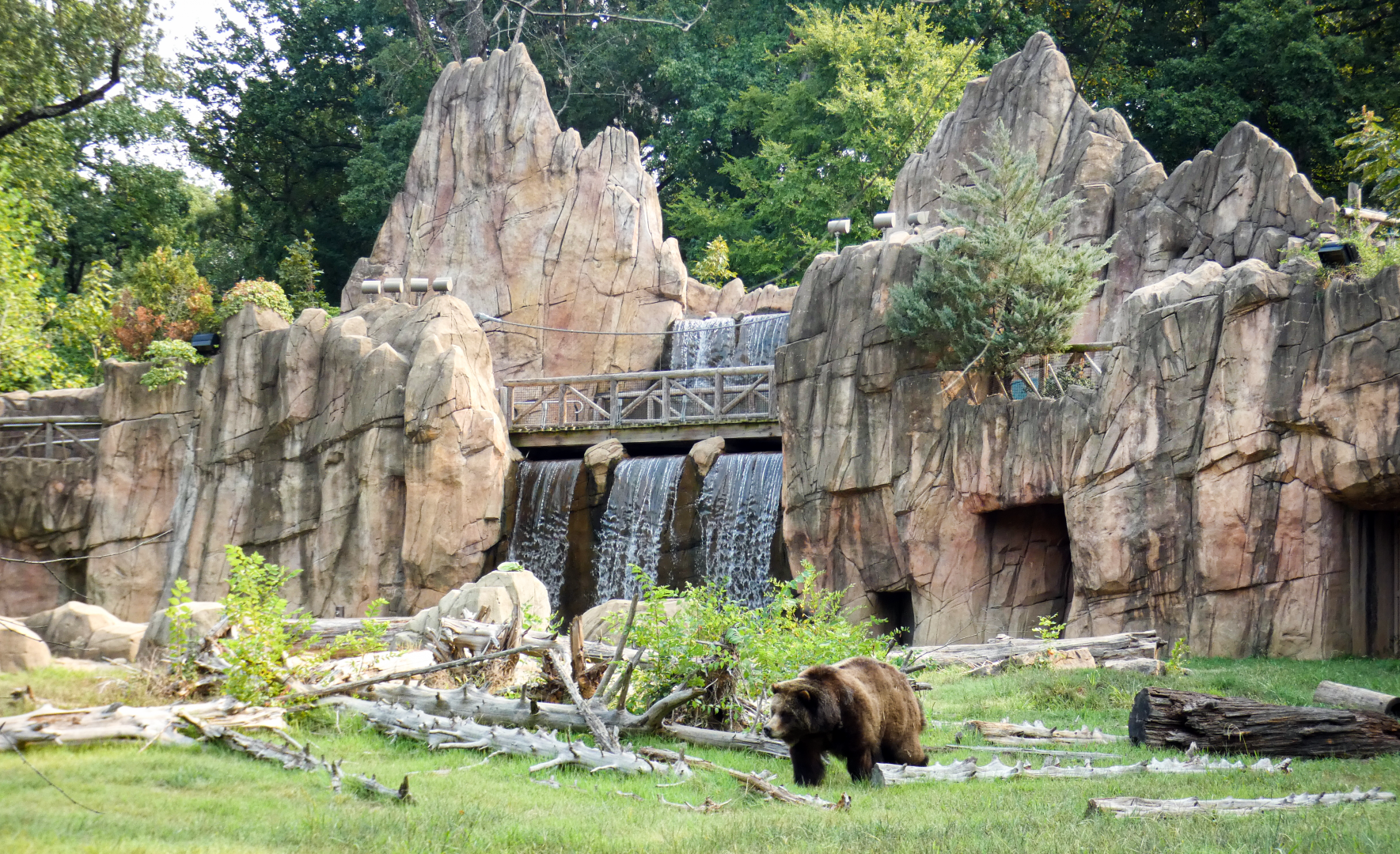 Sep. 2021 - Teton Trek - Grizzly Bear/American Black Bear Exhibit