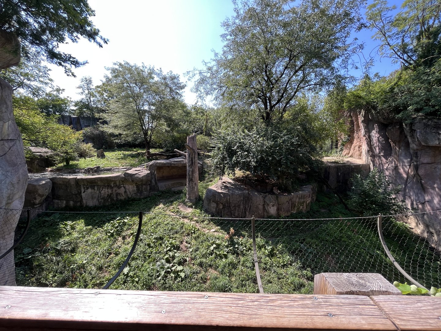 Sep. 2023 - Asia Quest - Amur Tiger Enclosure