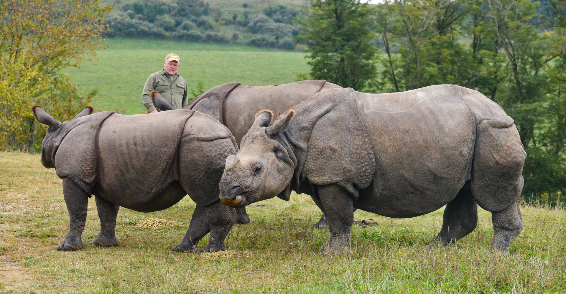 Sep. 2023 - Asian Pastures - Indian Rhinos + Keeper