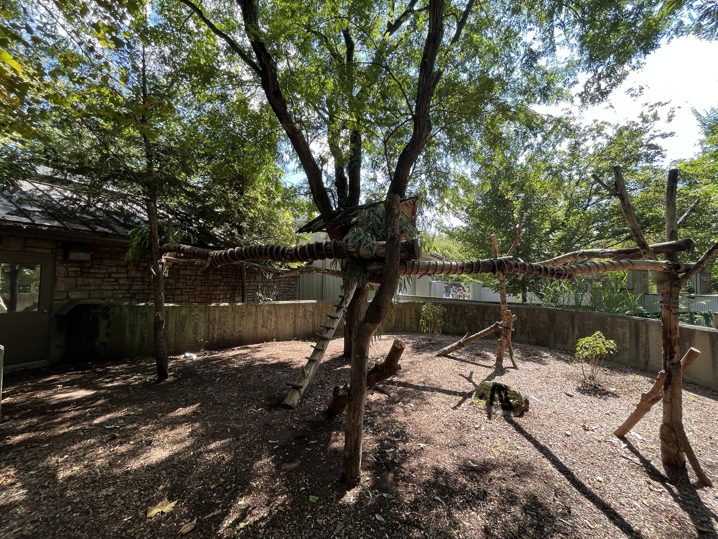 Sep. 2023 - Australia & the Islands - Outdoor Koala Enclosure