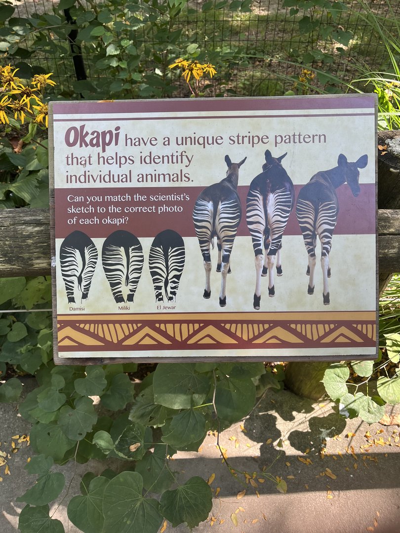 Sep. 2023 - Congo Expedition - Okapi Identification Sign