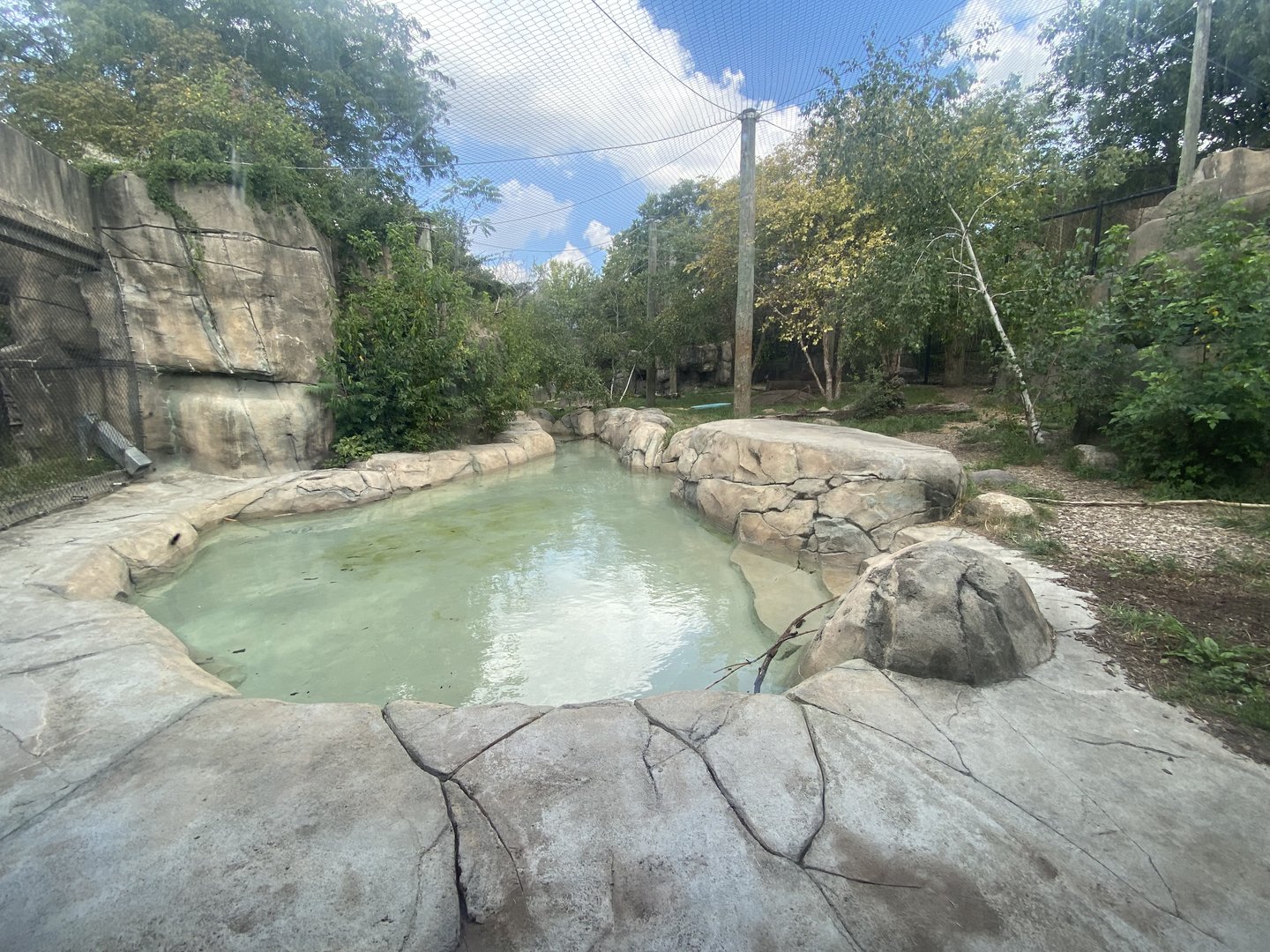 Sep. 2023 - Forests - Amur Tiger Exhibit