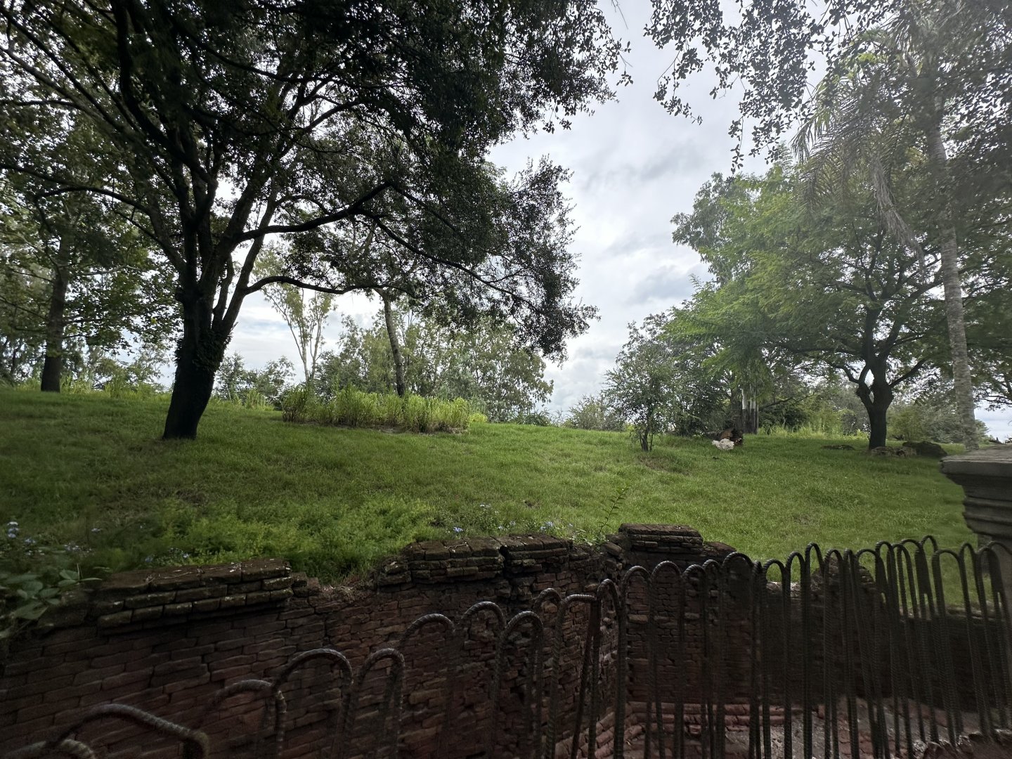 Sep. 2023 - Maharajah Jungle Trek - Replanted Exhibit (2)
