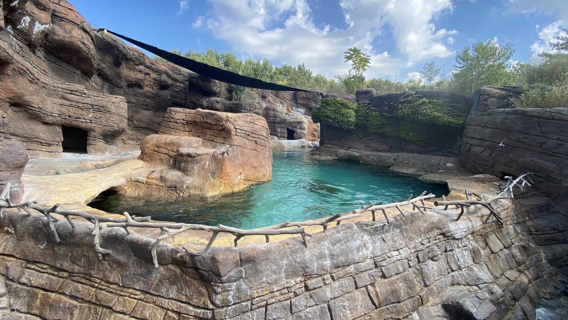 Sep. 2023 - Oceans - California Sea Lion Exhibit