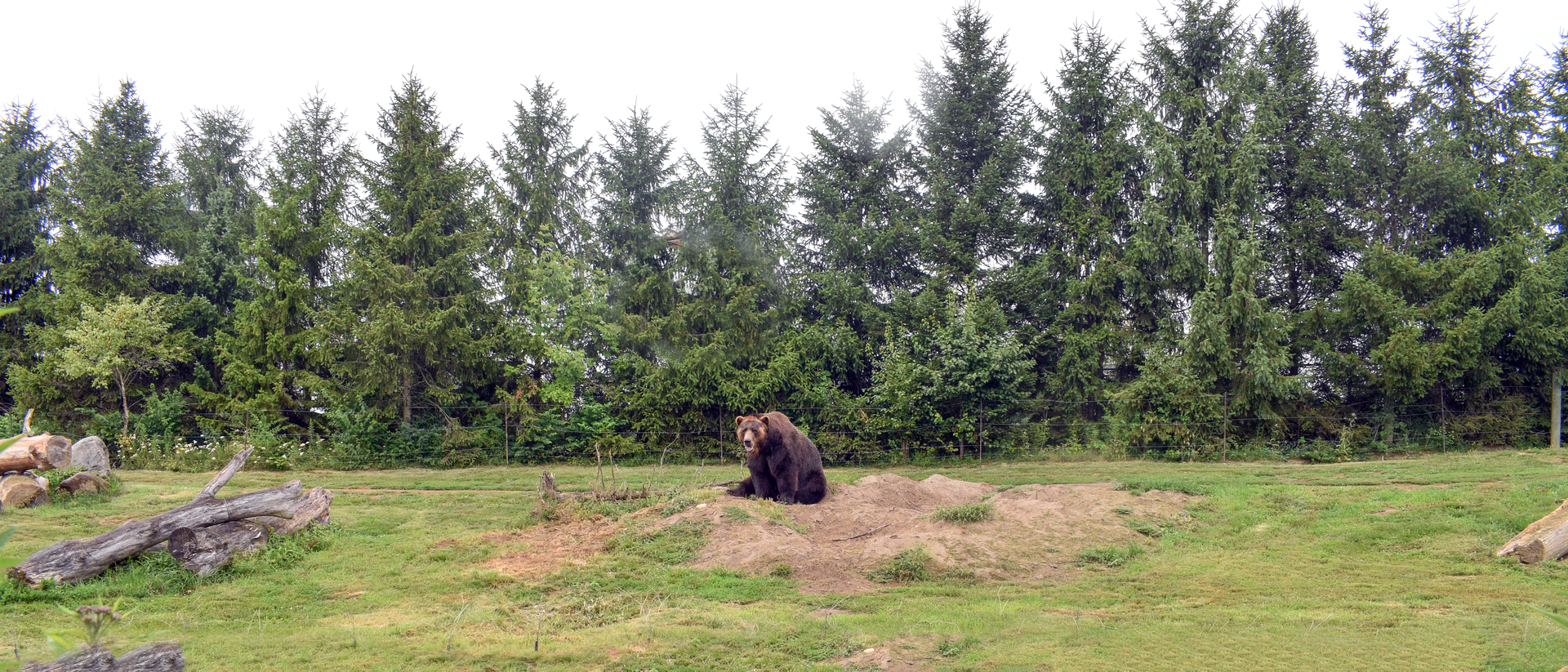 Sep. 2023 - Polar Frontier - Brown Bear Exhibit