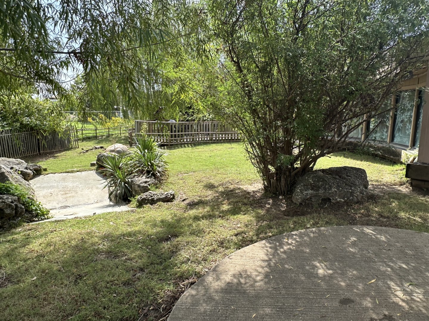 Sep. 2025 - Aldabra Atoll - Giant Tortoise Enclosure