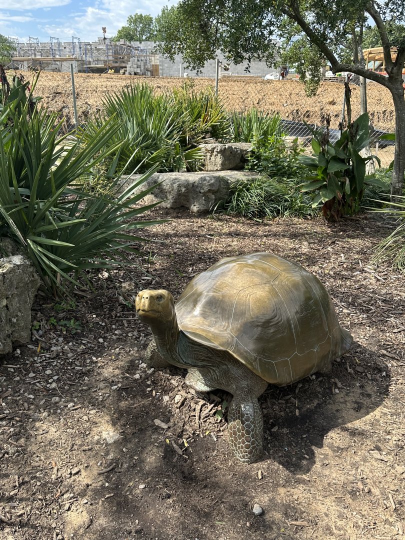 Sep. 2025 - Aldabra Atoll - Tortoise Statue