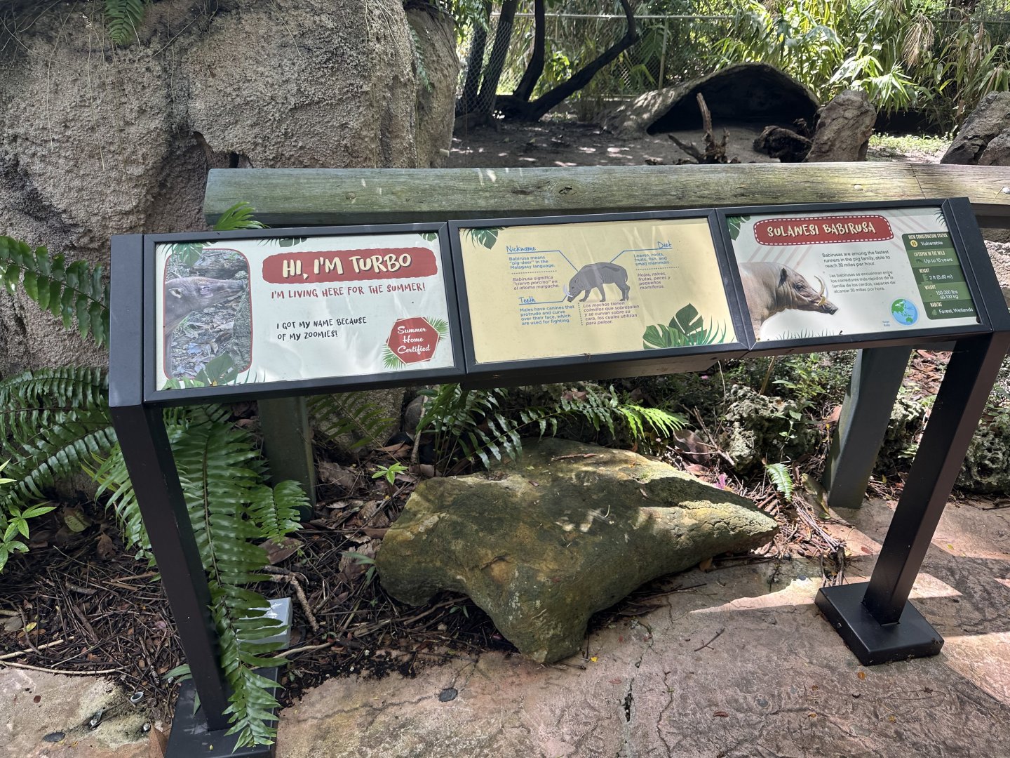 Sep. 2025 - Amazon & Beyond - Babirusa Signage (temporary)
