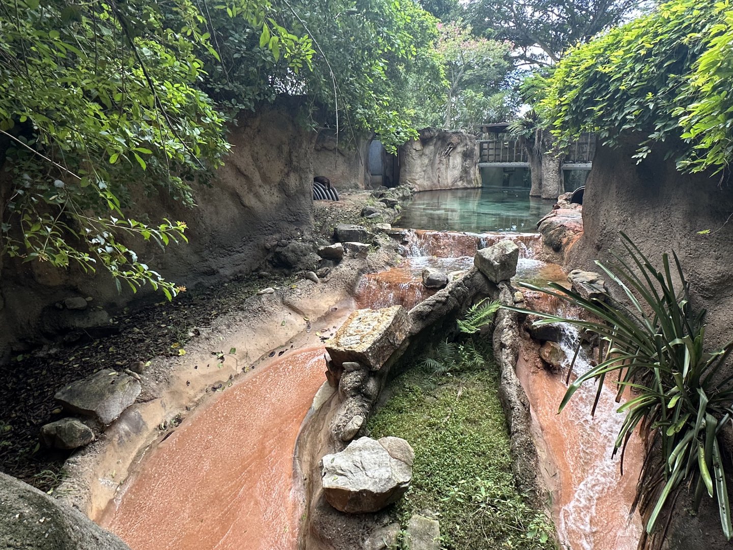Sep. 2025 - Amazon & Beyond - Giant Otter Enclosure (Part 1)