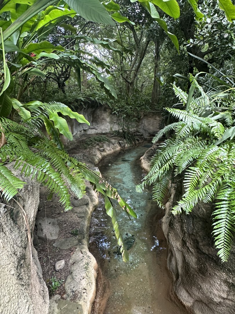 Sep. 2025 - Amazon & Beyond - Giant Otter Enclosure (Part 2)