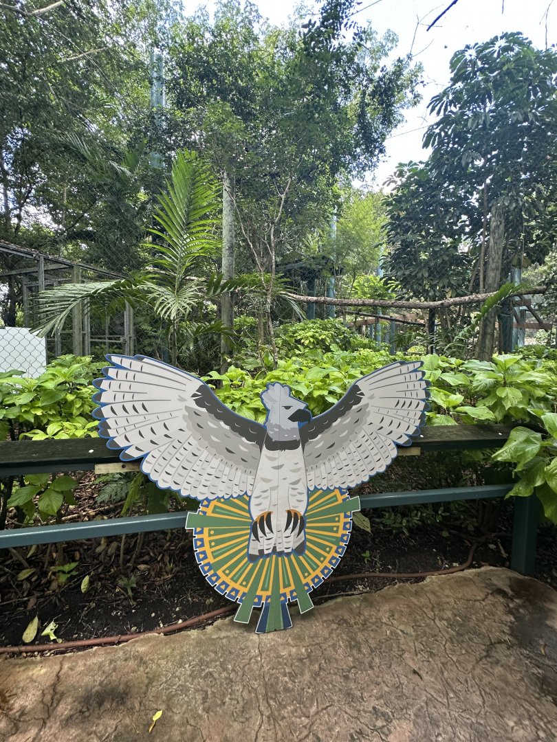 Sep. 2025 - Amazon & Beyond - Harpy Eagle Wingspan