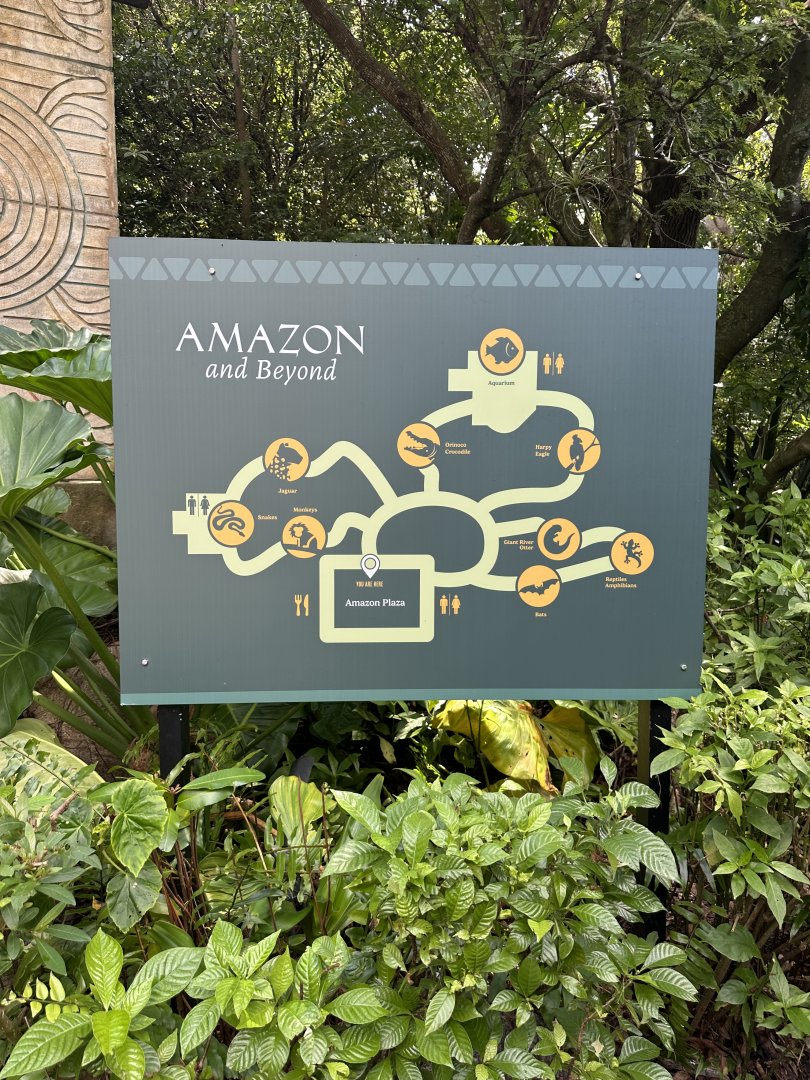 Sep. 2025 - Amazon & Beyond - New Map