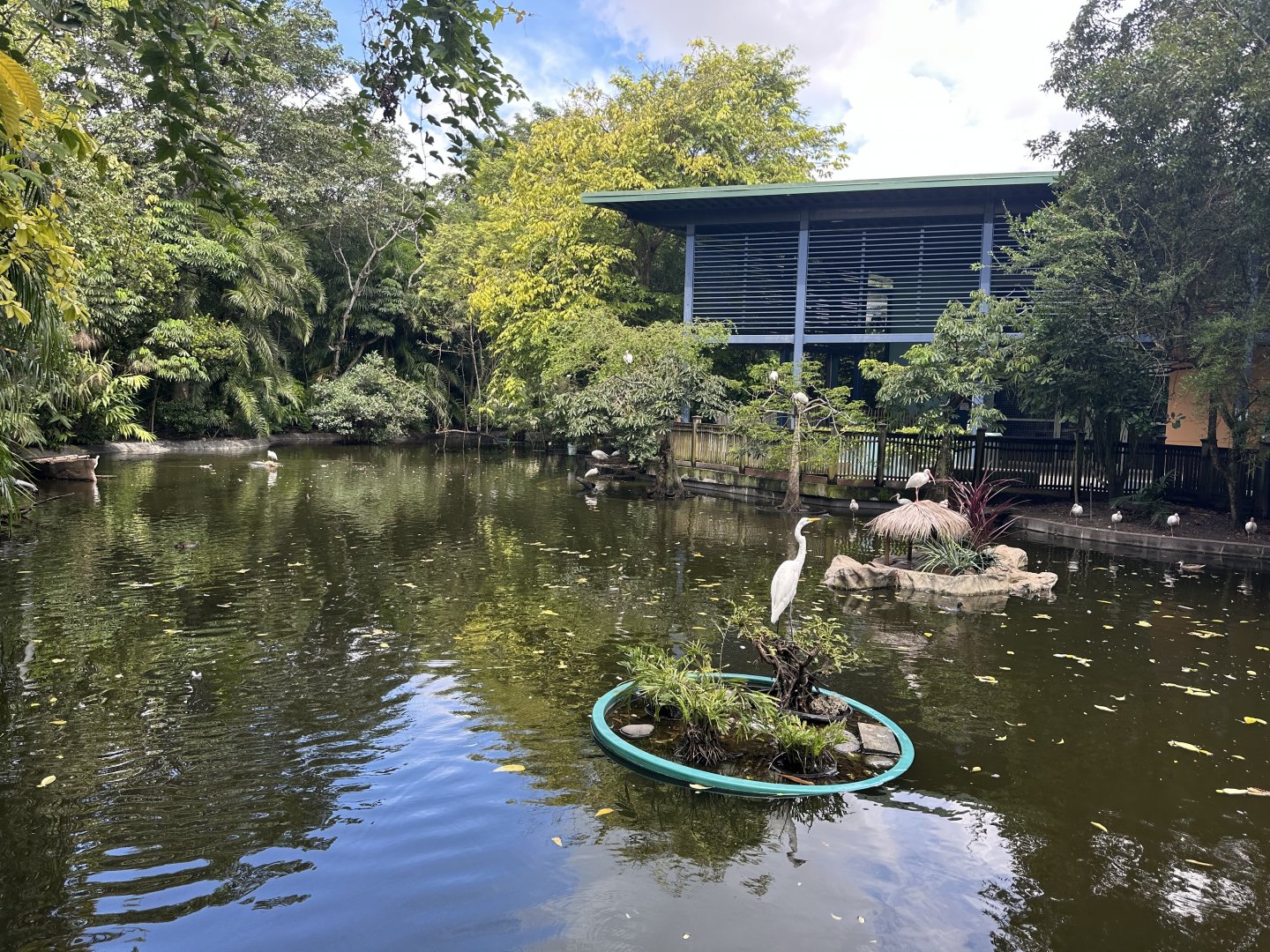 Sep. 2025 - Amazon & Beyond - Pond Overview