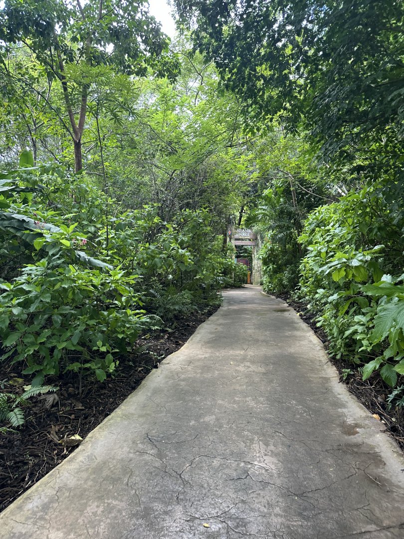 Sep. 2025 - Amazon & Beyond - Route to the Atlantic Forest