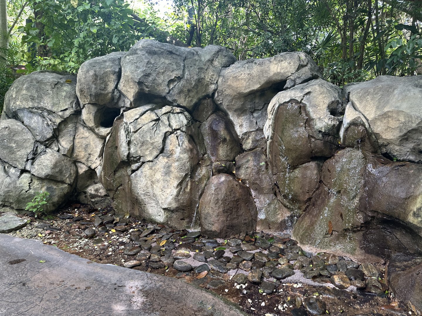 Sep 2025 - Amazon & Beyond - Water Feature