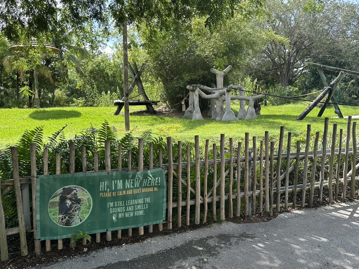 Sep. 2025 - Andean Bear Enclosure (ex-gorilla)