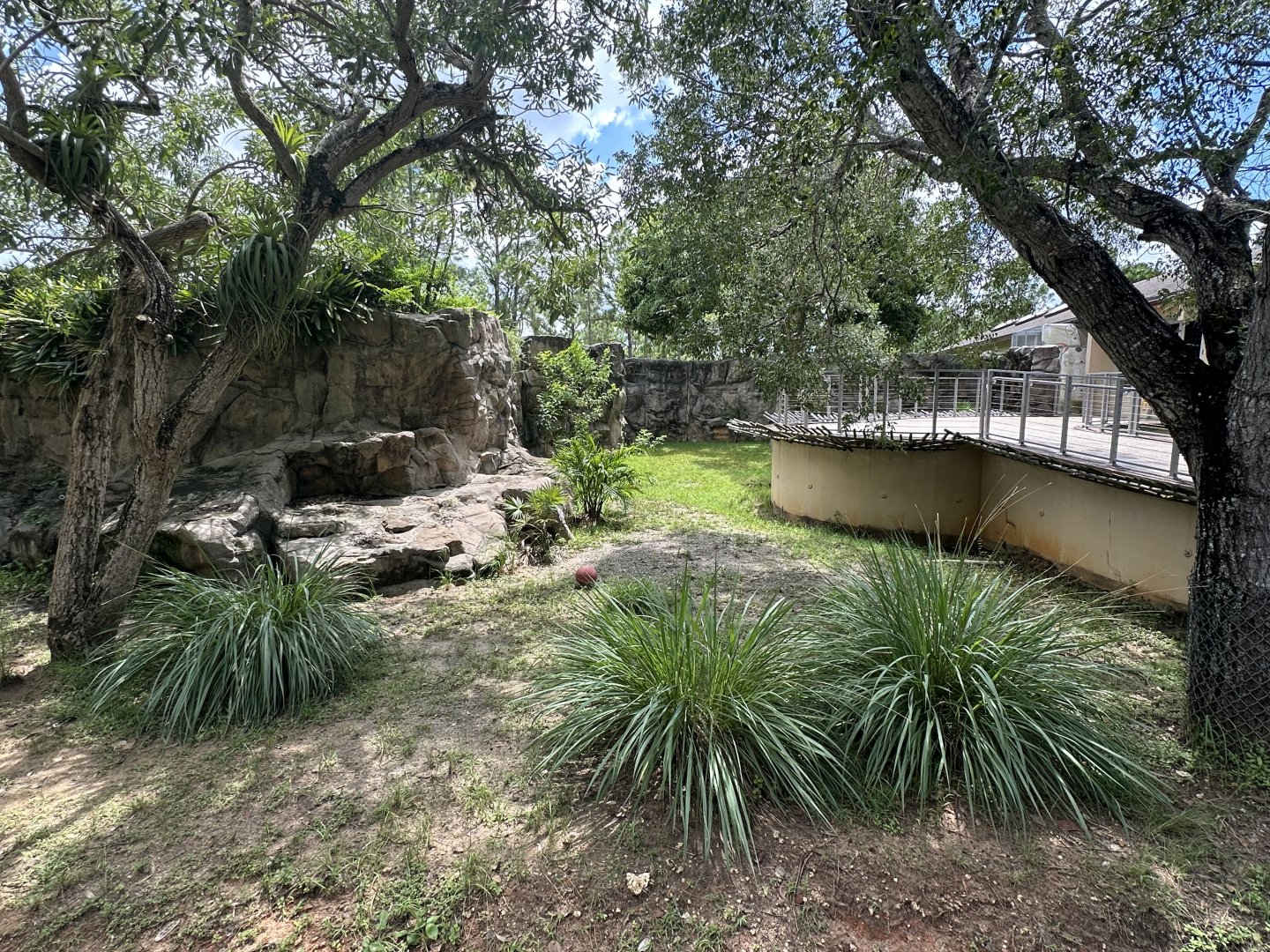 Sep. 2025 - Australia - Cassowary Enclosure