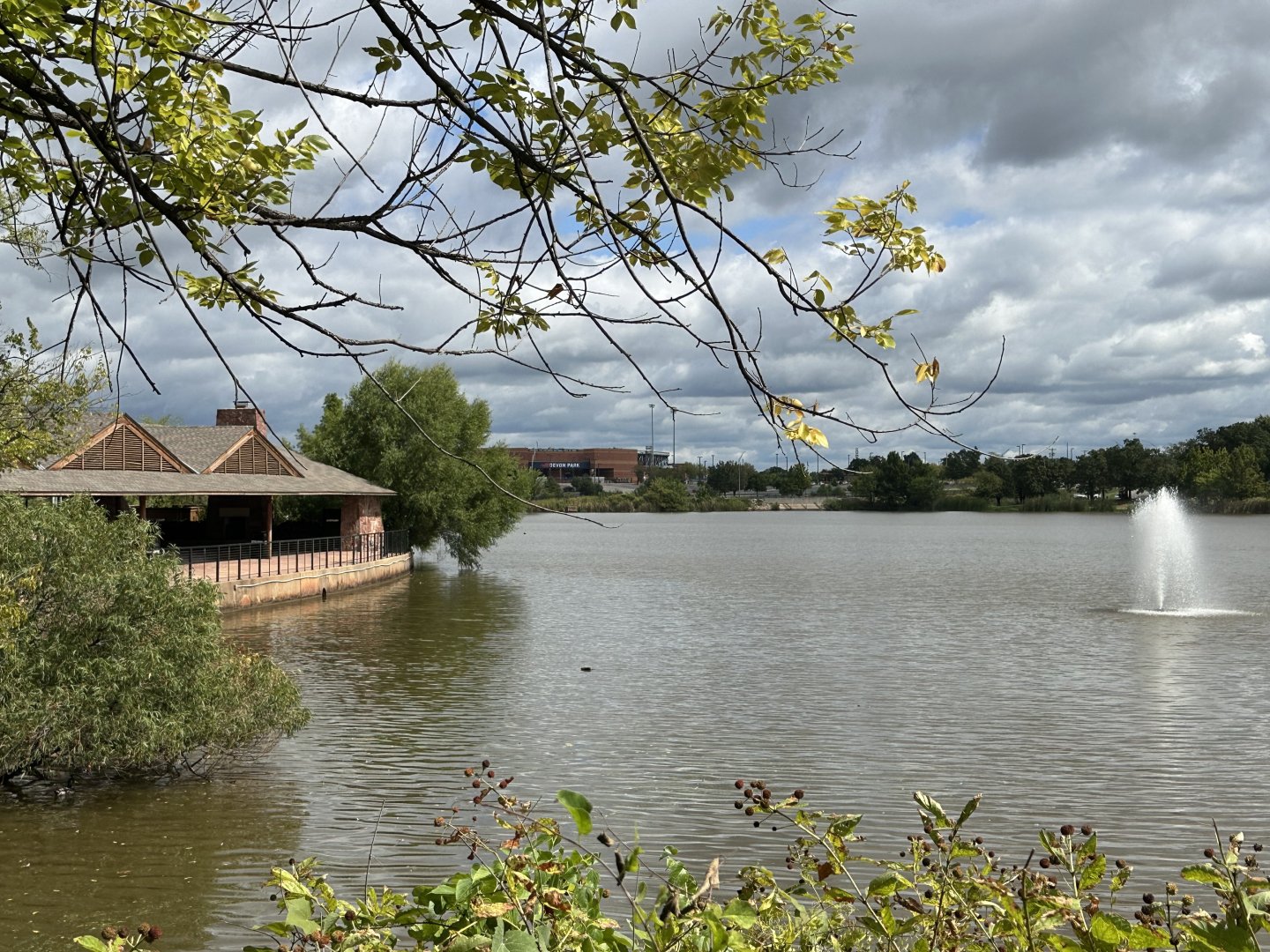 Sep. 2025 - Cat Forest - Lakeside View