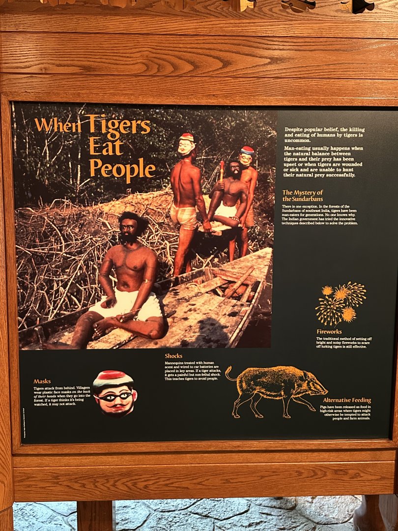 Sep. 2025 - Cat Forest - Signage (4)