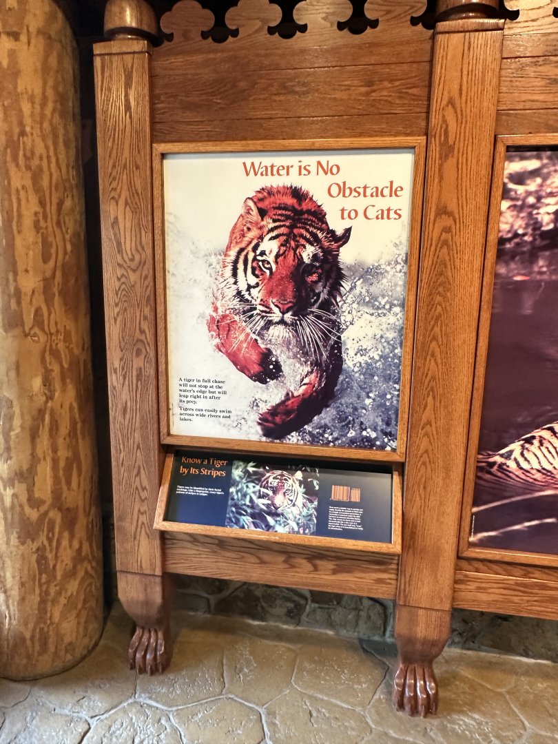 Sep. 2025 - Cat Forest - Signage (5)