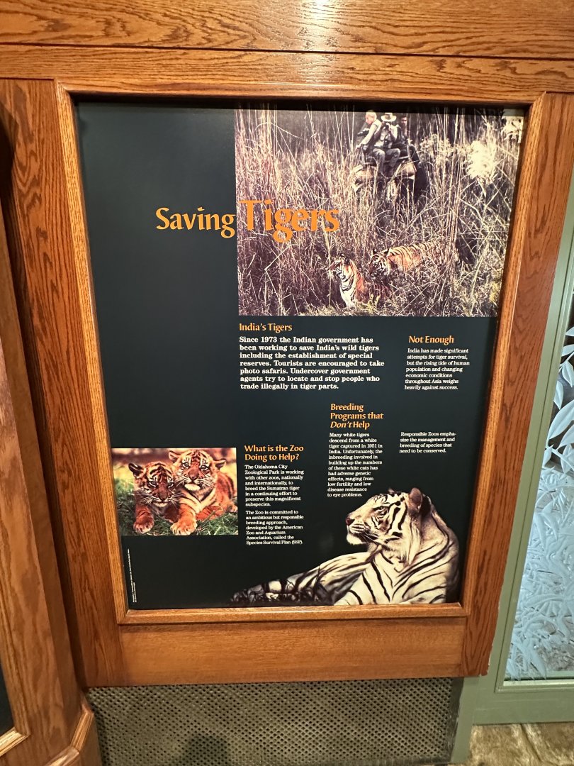 Sep. 2025 - Cat Forest - Signage (6)