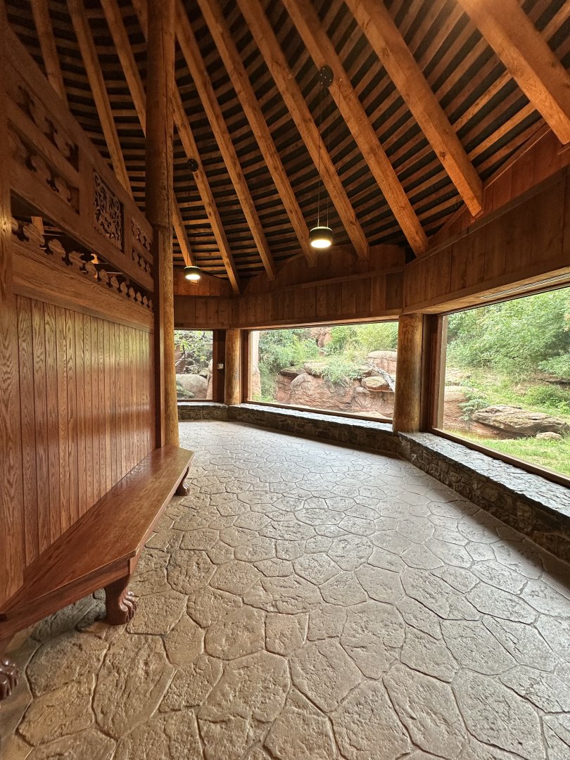 Sep. 2025 - Cat Forest - Tiger Center