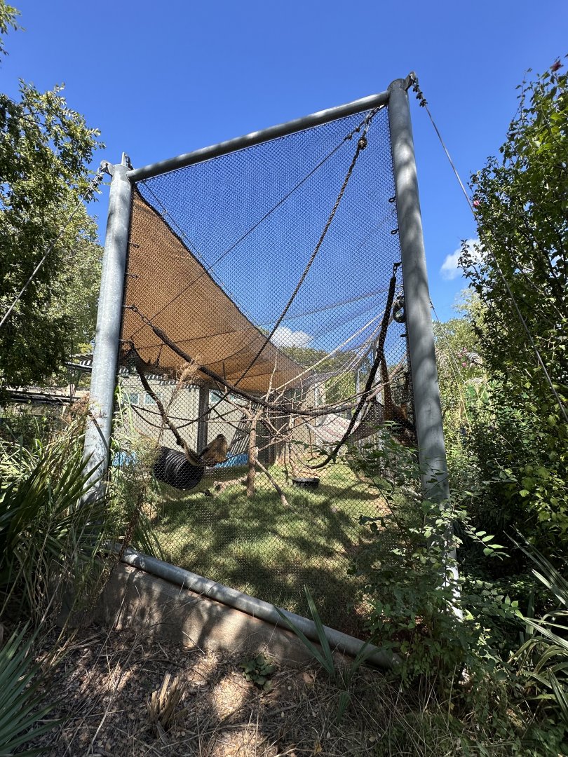 Sep. 2025 - Children’s Zoo - Spider Monkey Enclosure