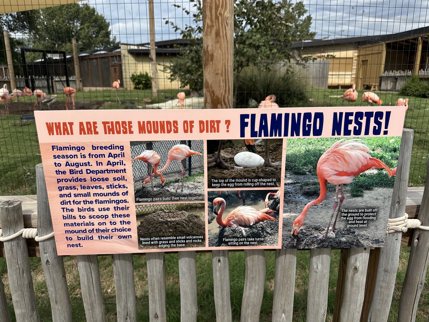 Sep. 2025 - Conservation Center - Flamingo Signage