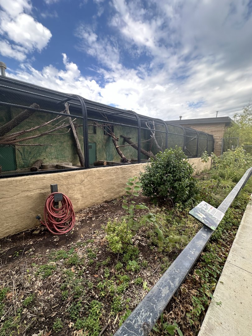 Sep. 2025 - Conservation Center - Outdoor Monkey Enclosures