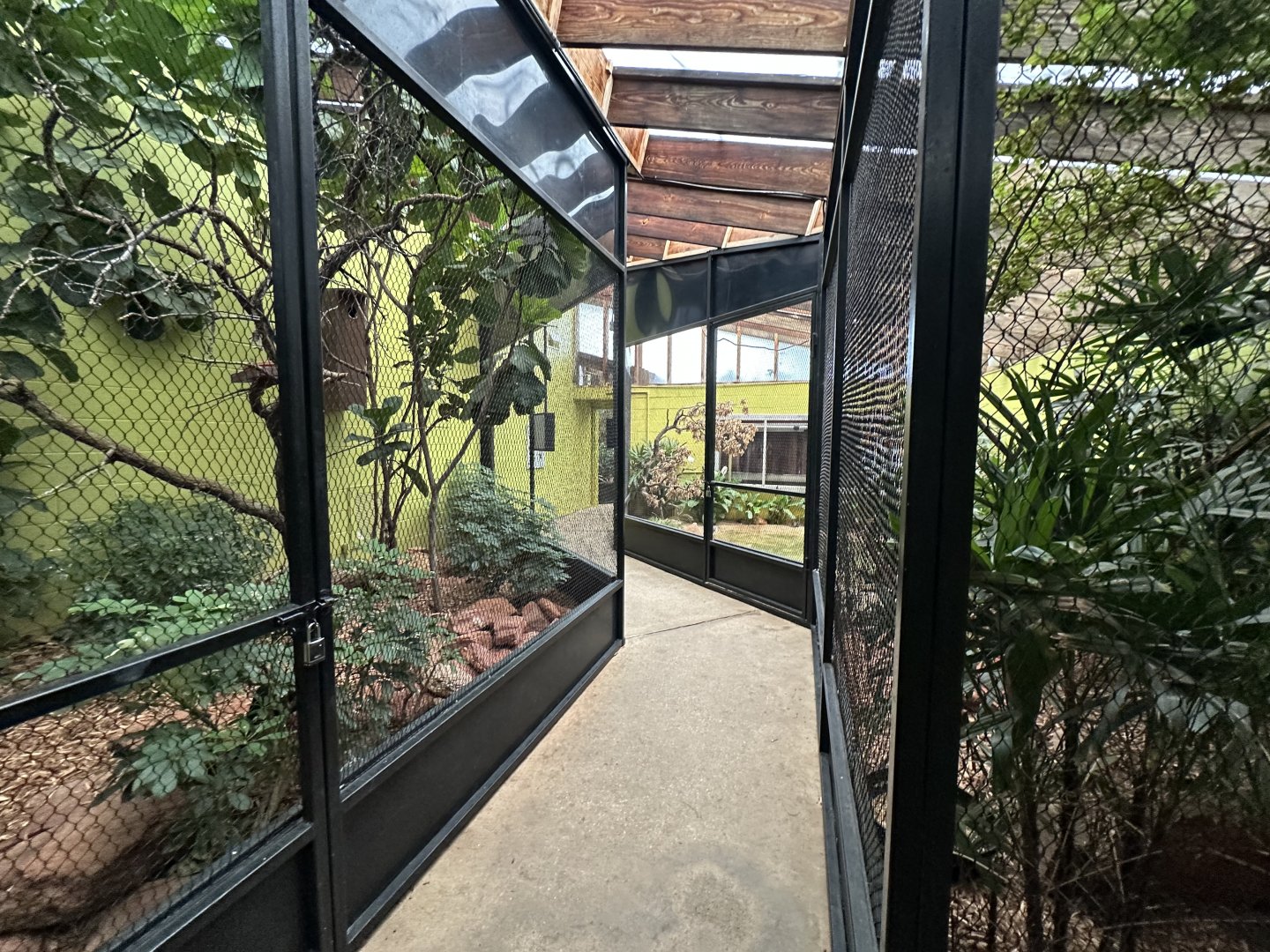 Sep. 2025 - Dan Moran Aviary - Path In Between Aviaries