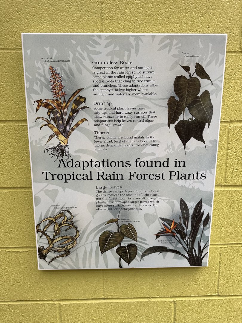 Sep. 2025 - Dan Moran Aviary - Signage (5)