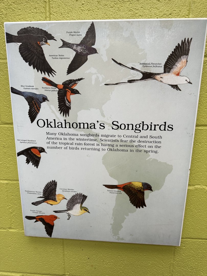 Sep. 2025 - Dan Moran Aviary - Signage (6)