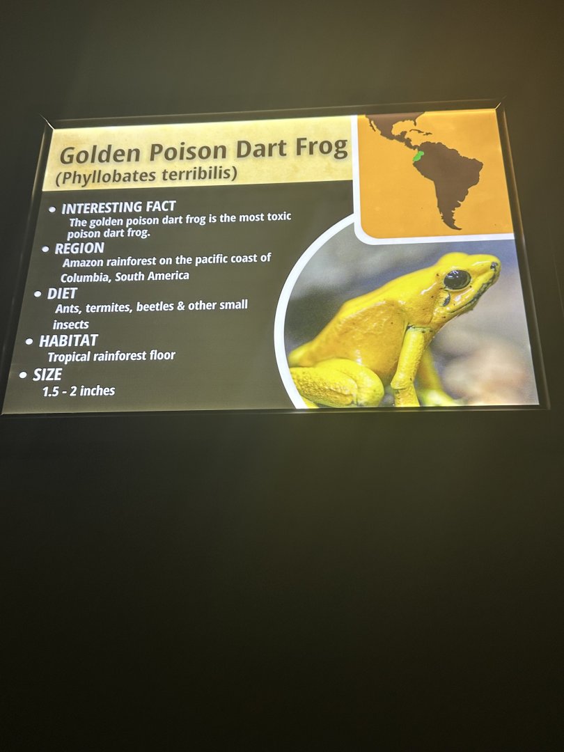 Sep. 2025 - Daytona Aquarium - Dart Frog Signage