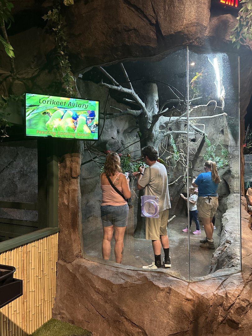 Sep. 2025 - Daytona Aquarium - Lorikeet “Aviary”