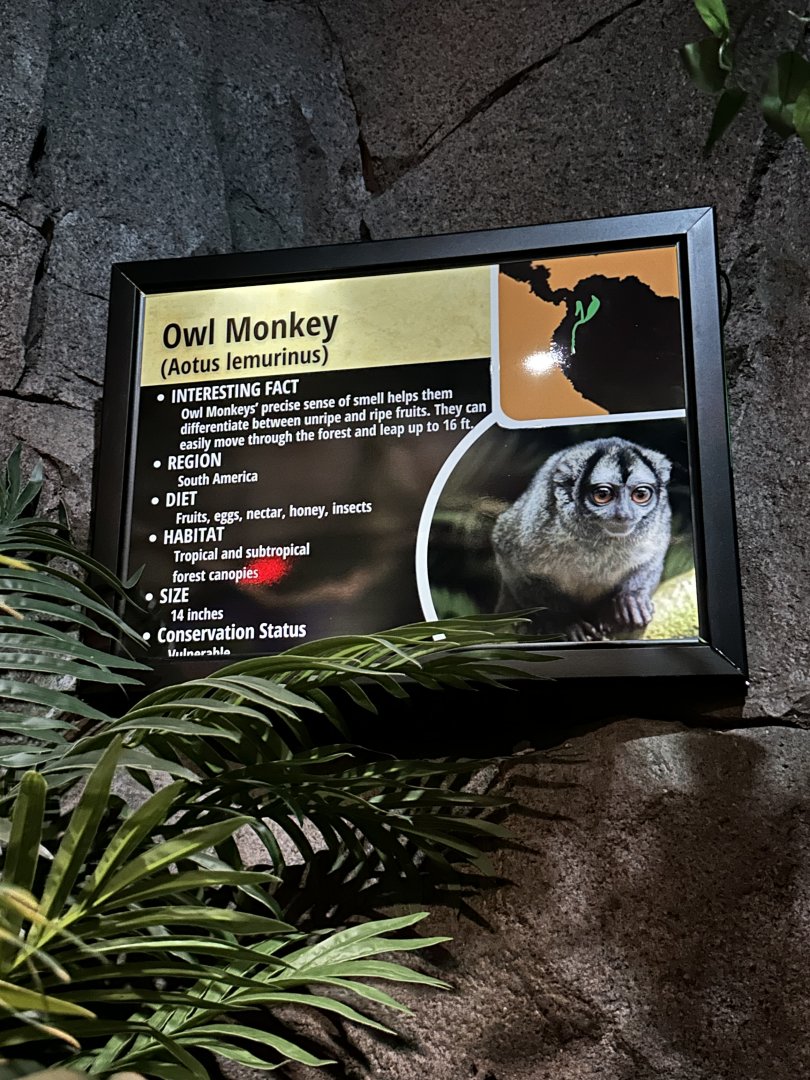 Sep. 2025 - Daytona Aquarium - Owl Monkey Signage