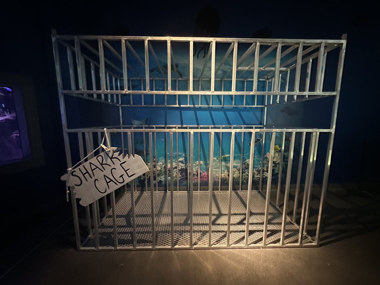 Sep. 2025 - Daytona Aquarium - Shark Cage (photo-op)