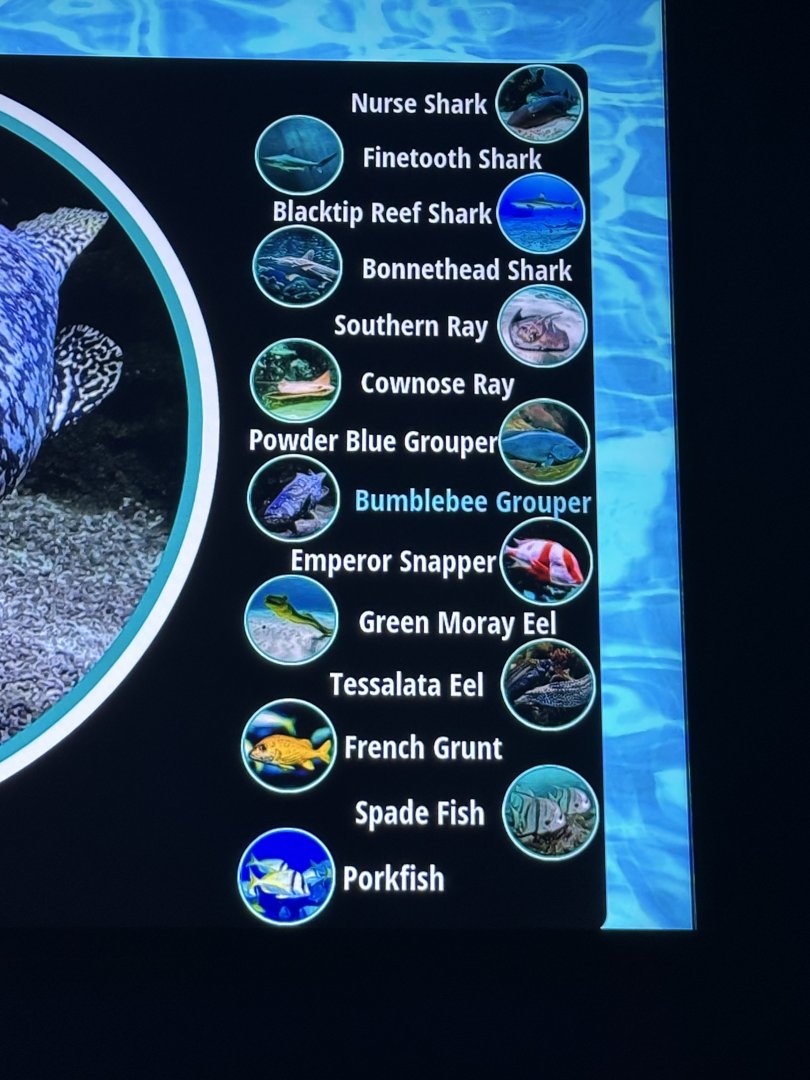 Sep. 2025 - Daytona Aquarium - Shark Reef (signage)