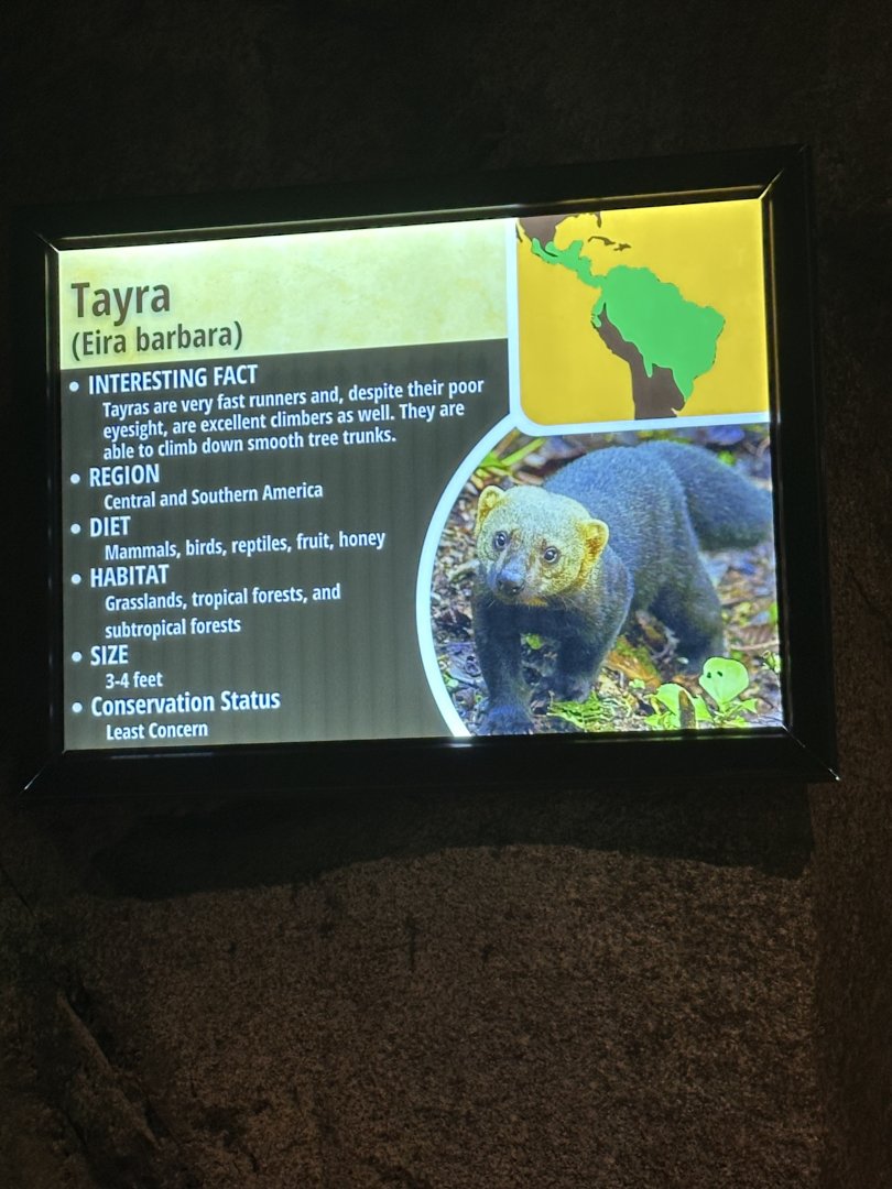 Sep. 2025 - Daytona Aquarium - Tayra Signage