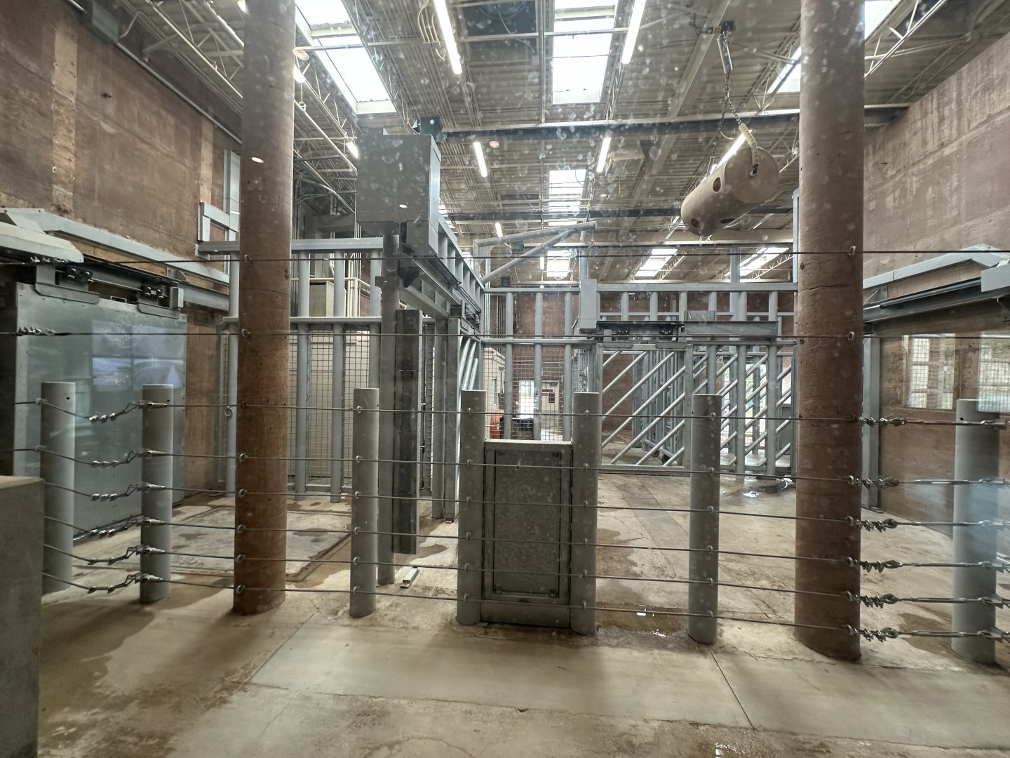 Sep. 2025 - Elephant Experience - Barn Preview