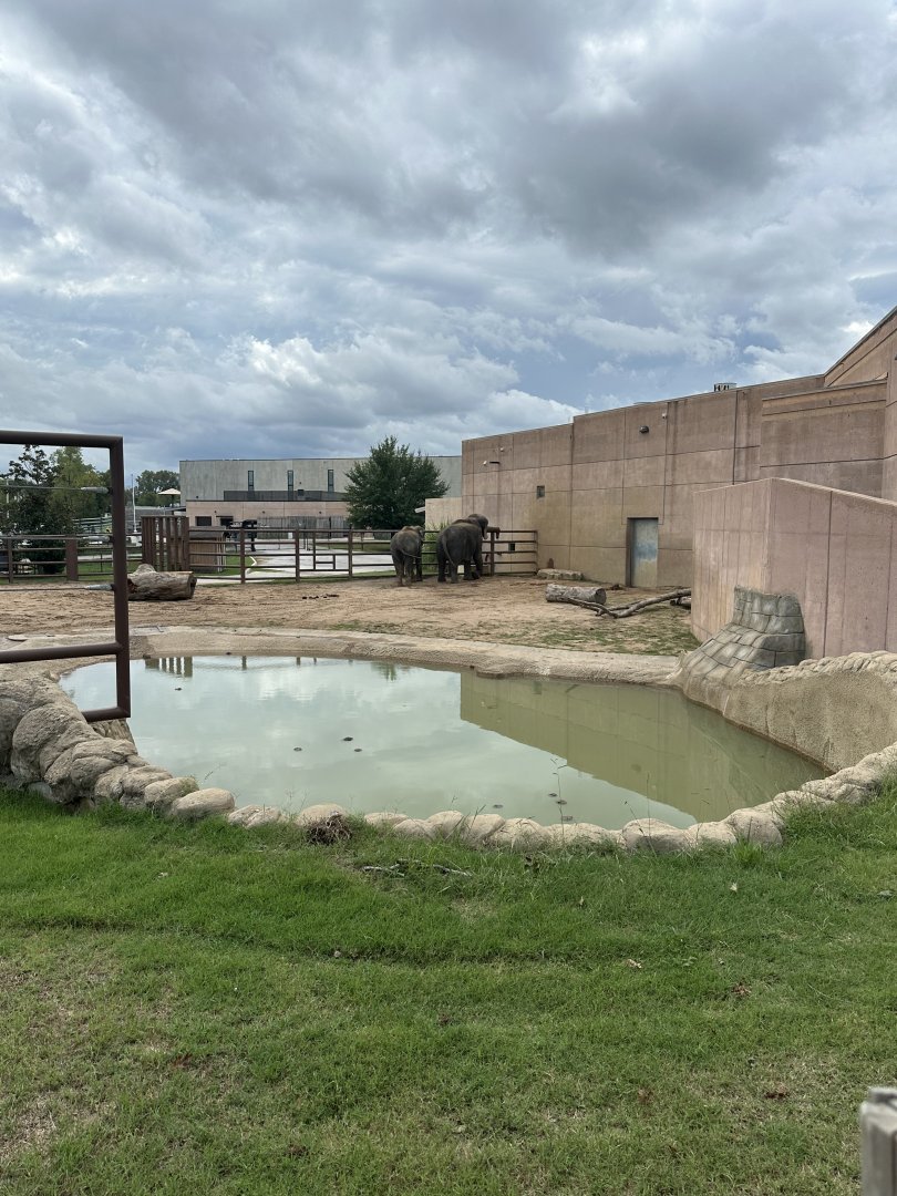 Sep. 2025 - Elephant Experience - Pool Overview