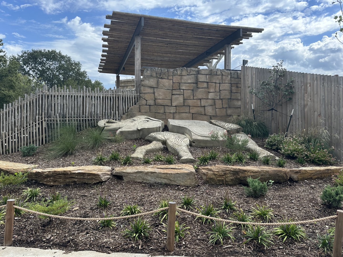 Sep. 2025 - Elephant Experience - Viewing Area from the Ground