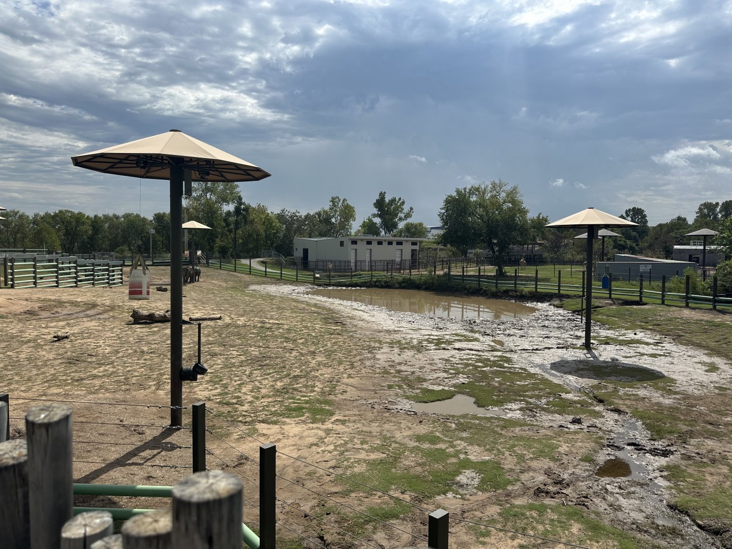 Sep. 2025 - Elephant Preserve - Main Paddock