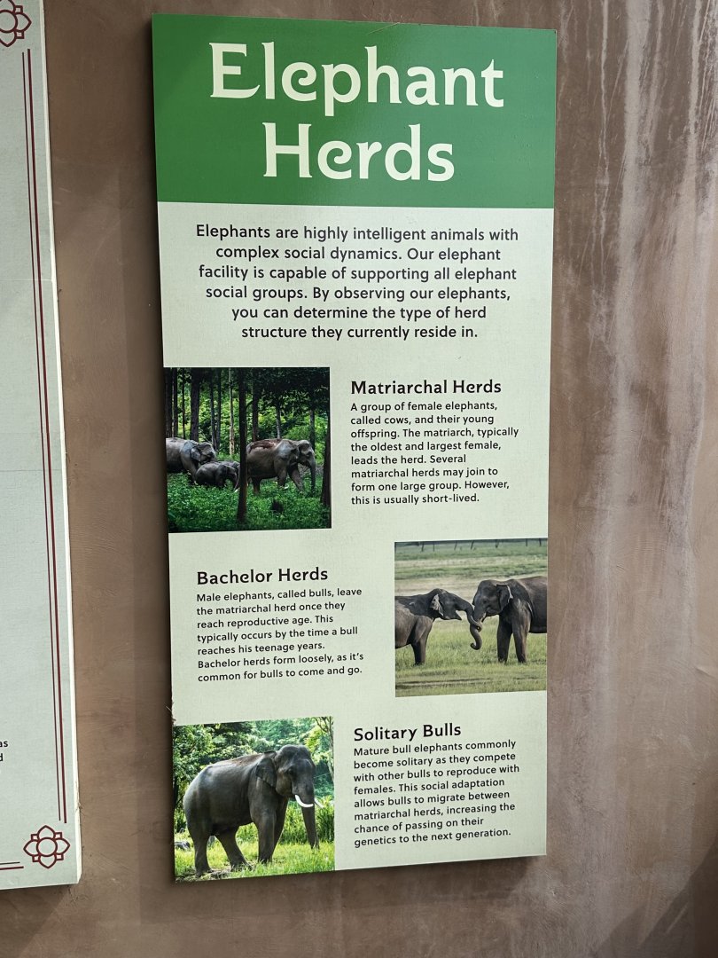 Sep. 2025 - Elephant Preserve - Signage (5)