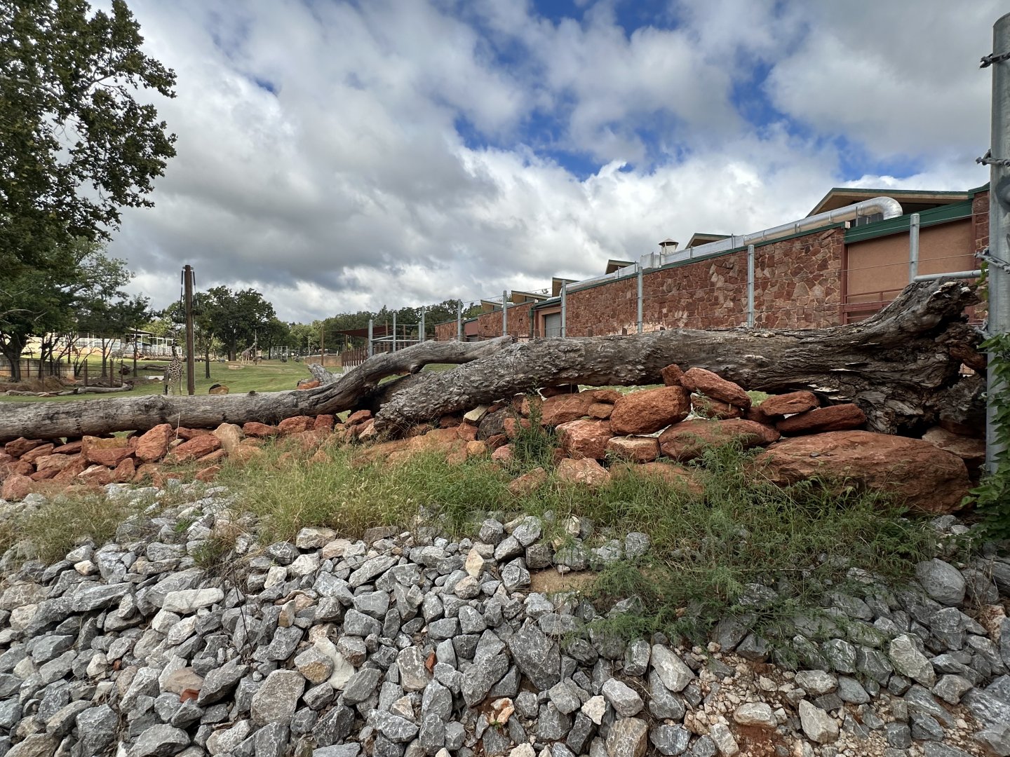 Sep. 2025 - Expedition Africa - A Unique Savanna Barrier