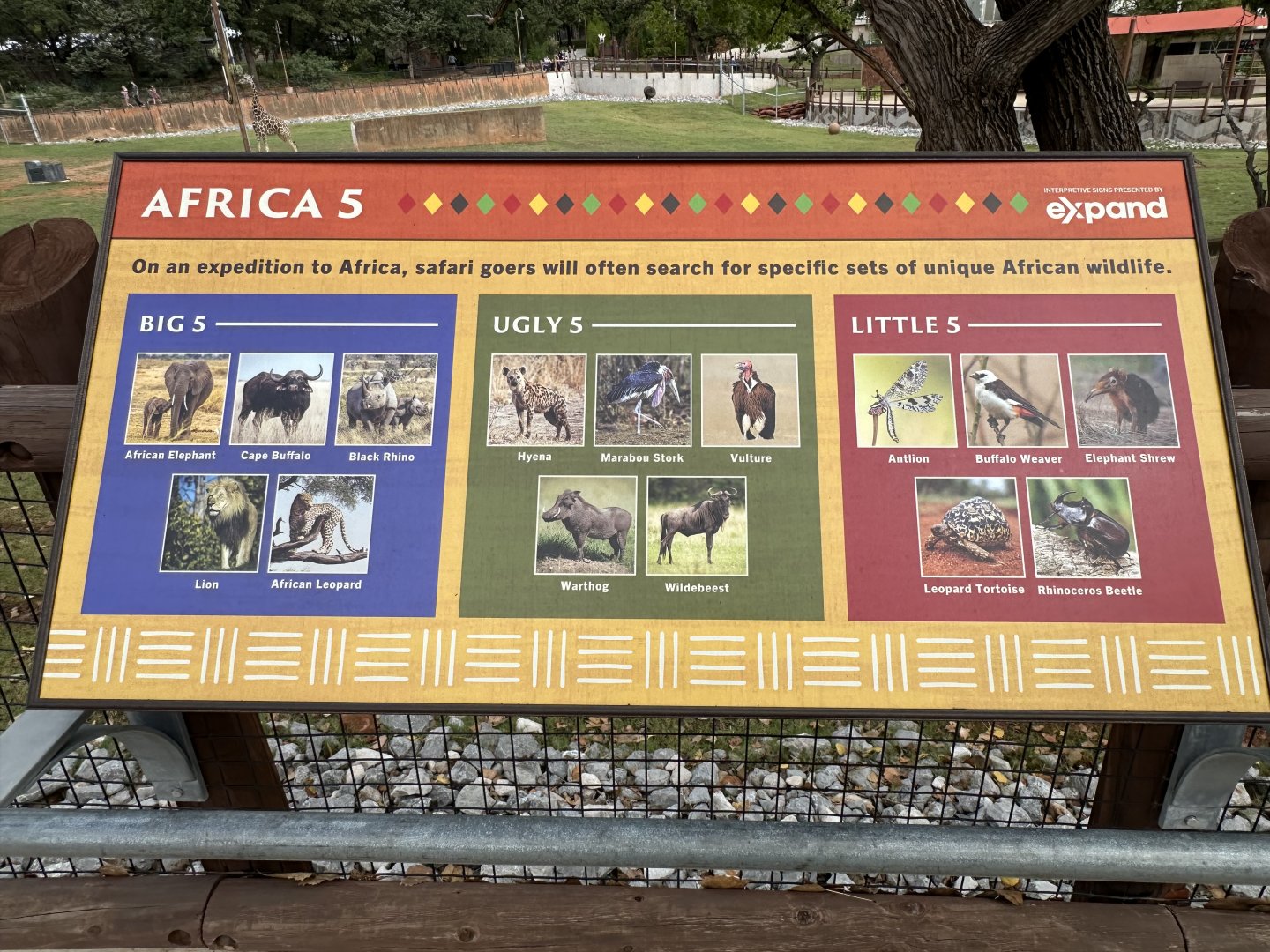 Sep. 2025 - Expedition Africa - “Africa 5” Signage